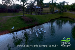 CABANHA À VENDA NO RS.00_03_23_17.Quadro034_3d53703f6f63a796bdf910ea6bbf11e10bf650c3.jpg